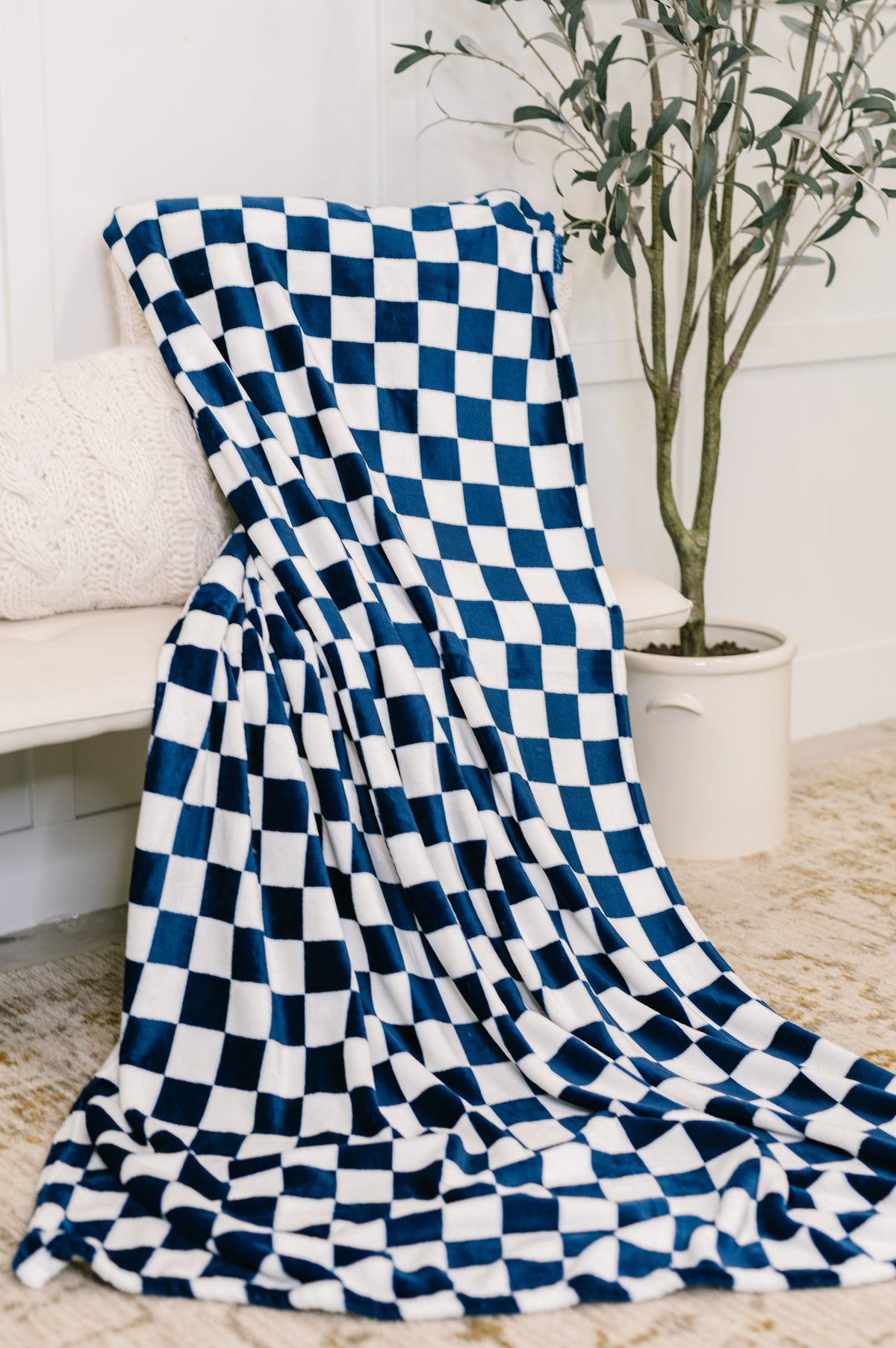 Blue and white checkered blanket draped over a chair with a plant in the background