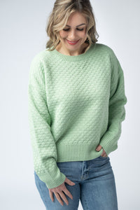 Gianna Pullover Sweater in Spring Sage Green