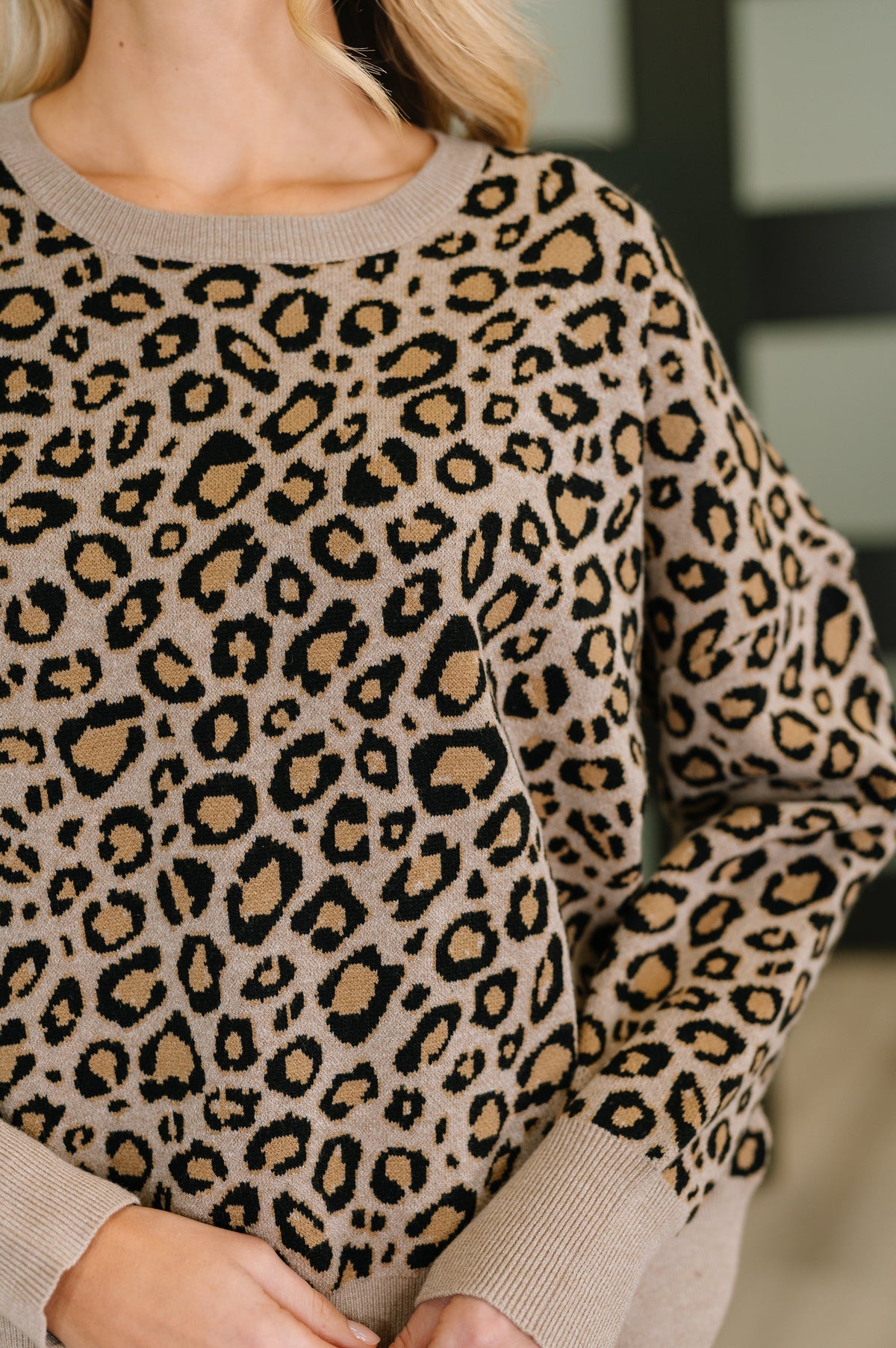 Leopard print sweater worn by a person with a blurred background