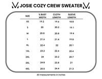 Josie Cozy Crew Sweater in Mocha