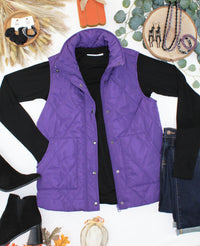 Remy Zip Up Vest in Purple